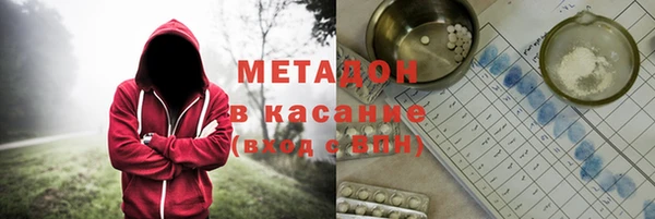 индика Алзамай