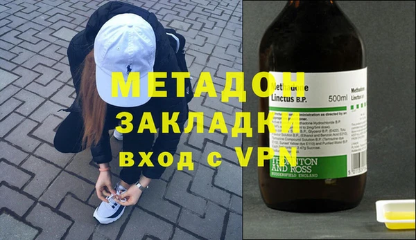 индика Алзамай