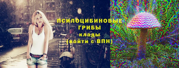 ешки Алексеевка